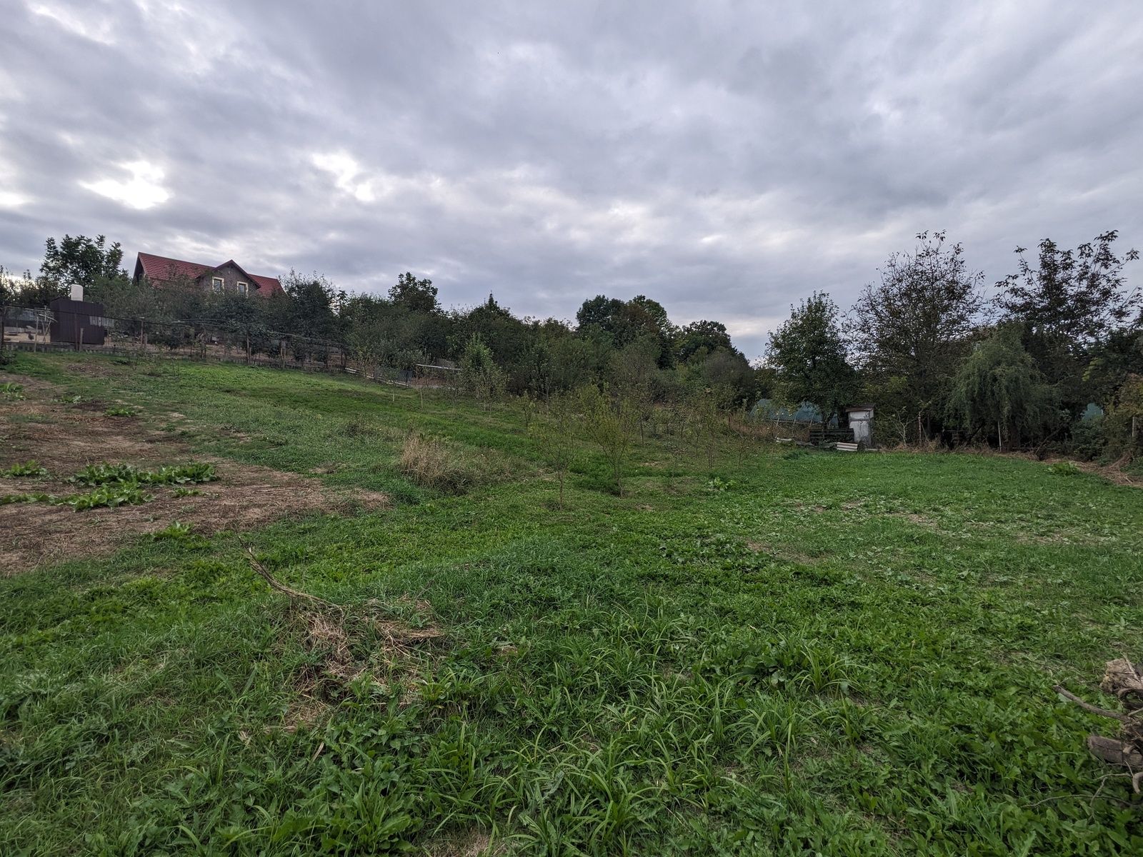 Хто не платить земельний податок Хто не платить земельний податок