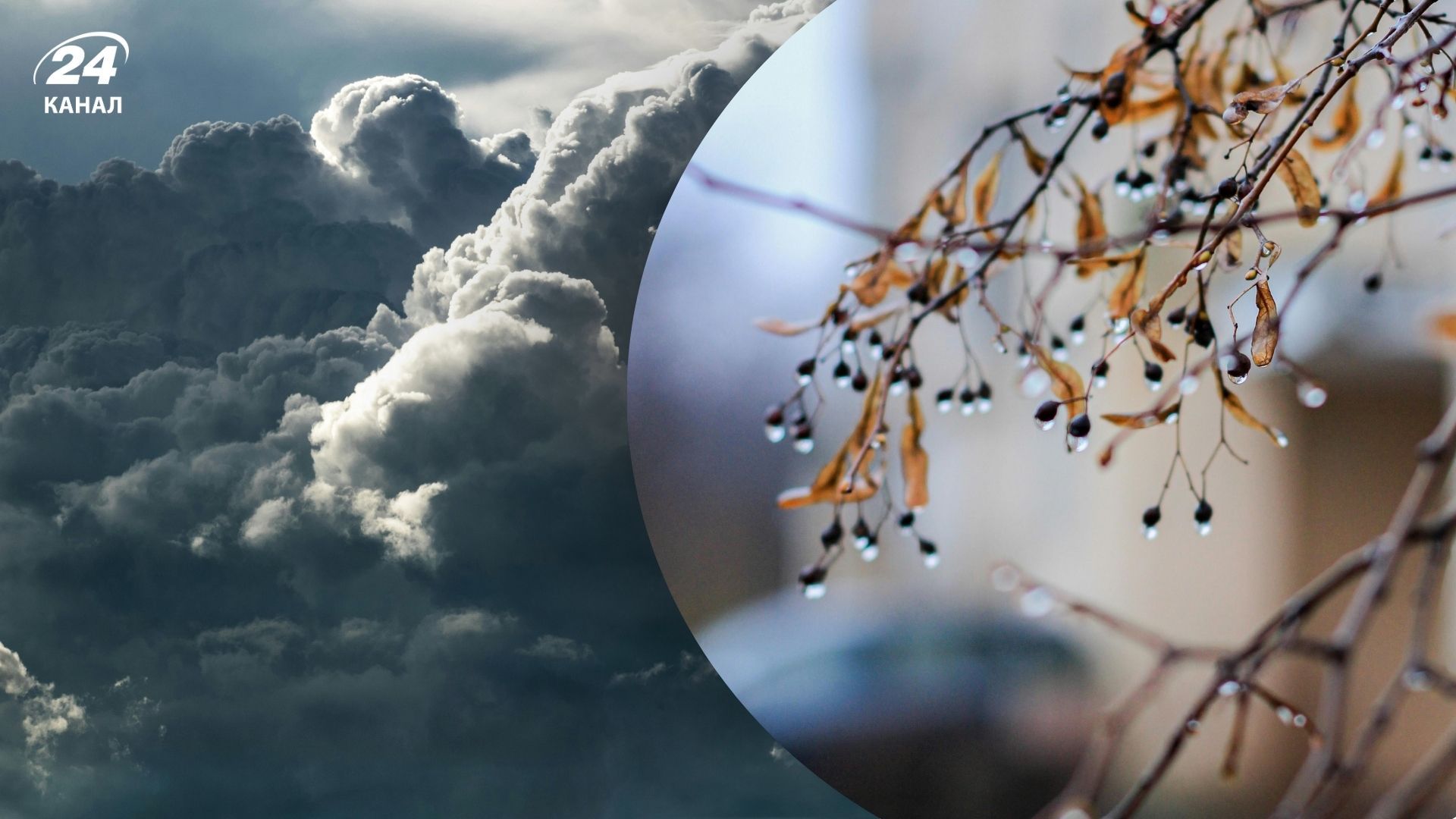 Погода 25 января 2025 года Погода 25 января 2025 года