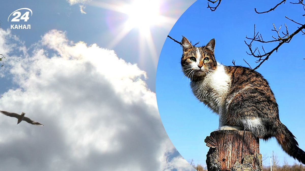 Когда будет потепление Когда будет потепление