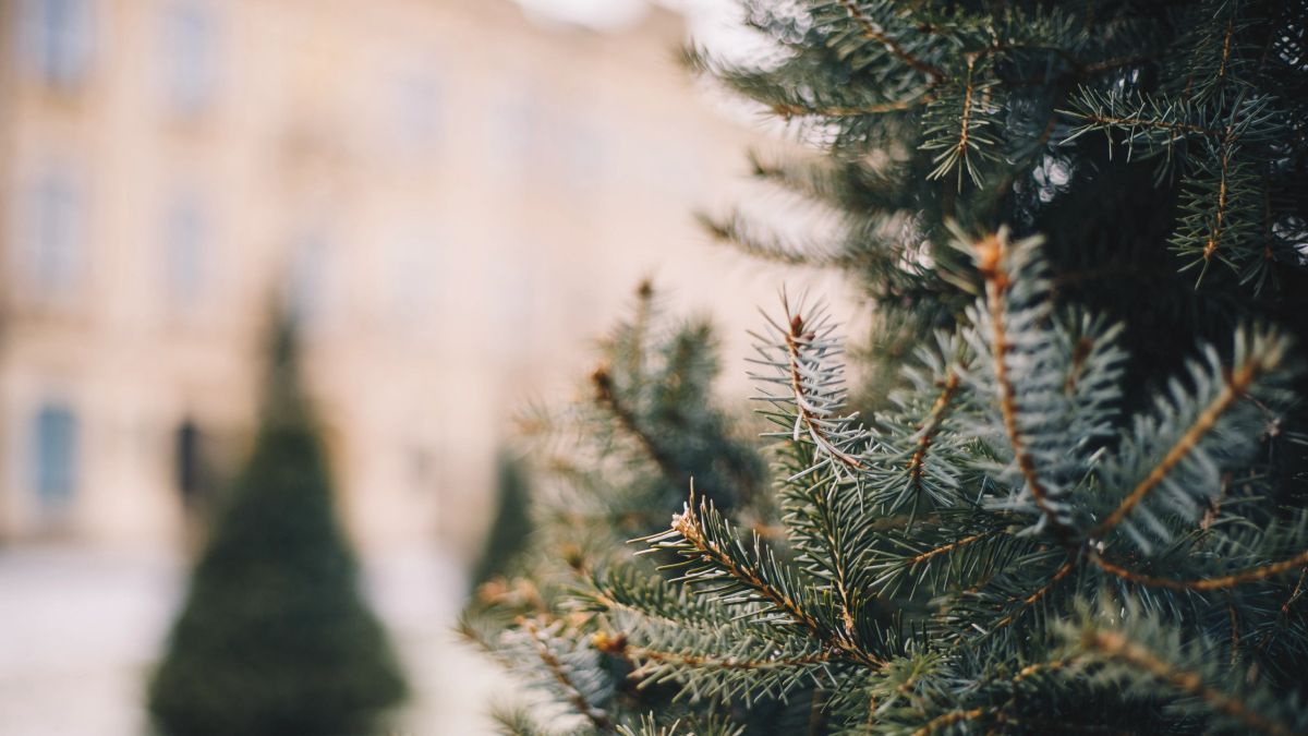 Погода на лютий Погода на лютий