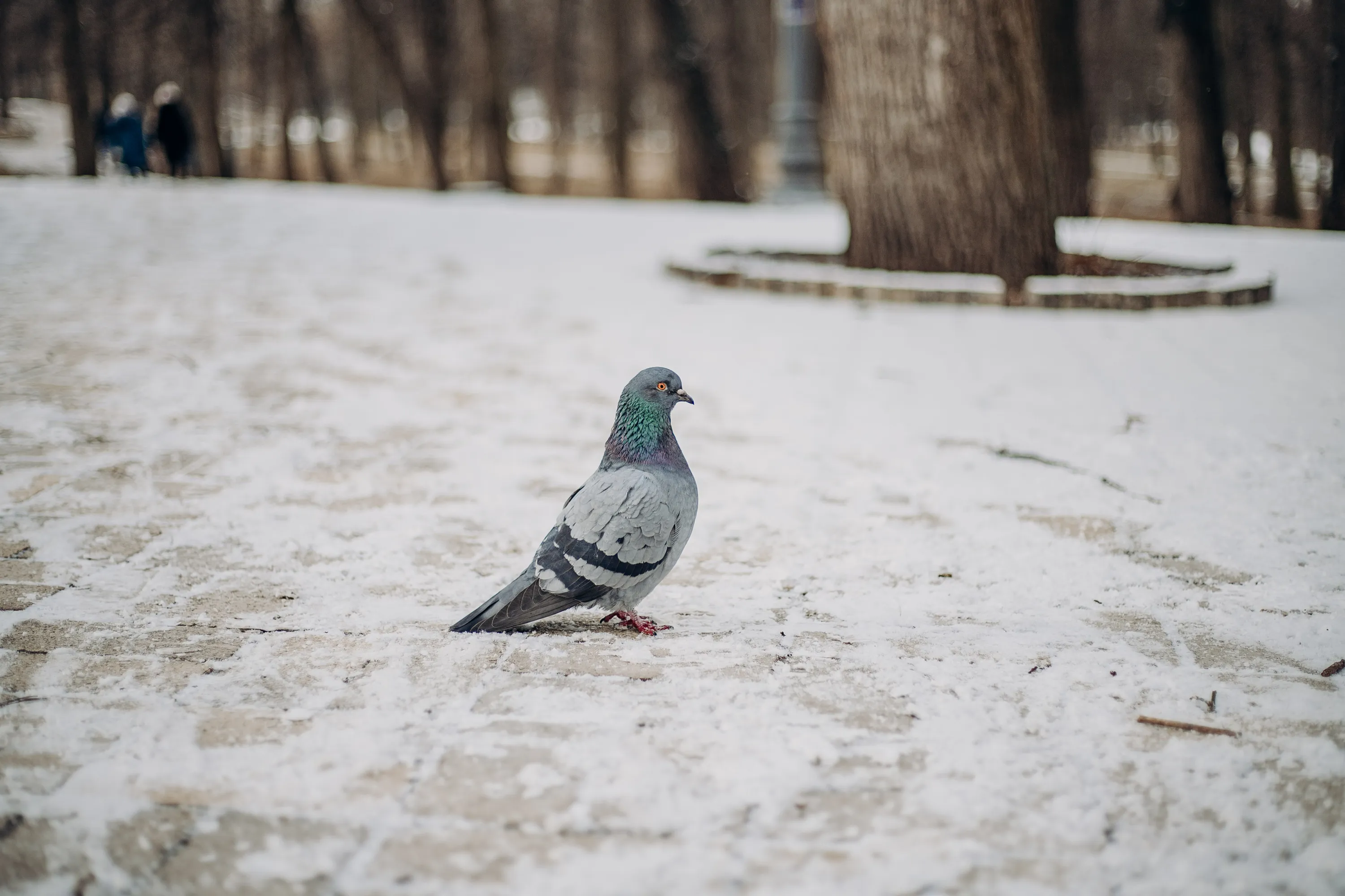 Погода в Україні
