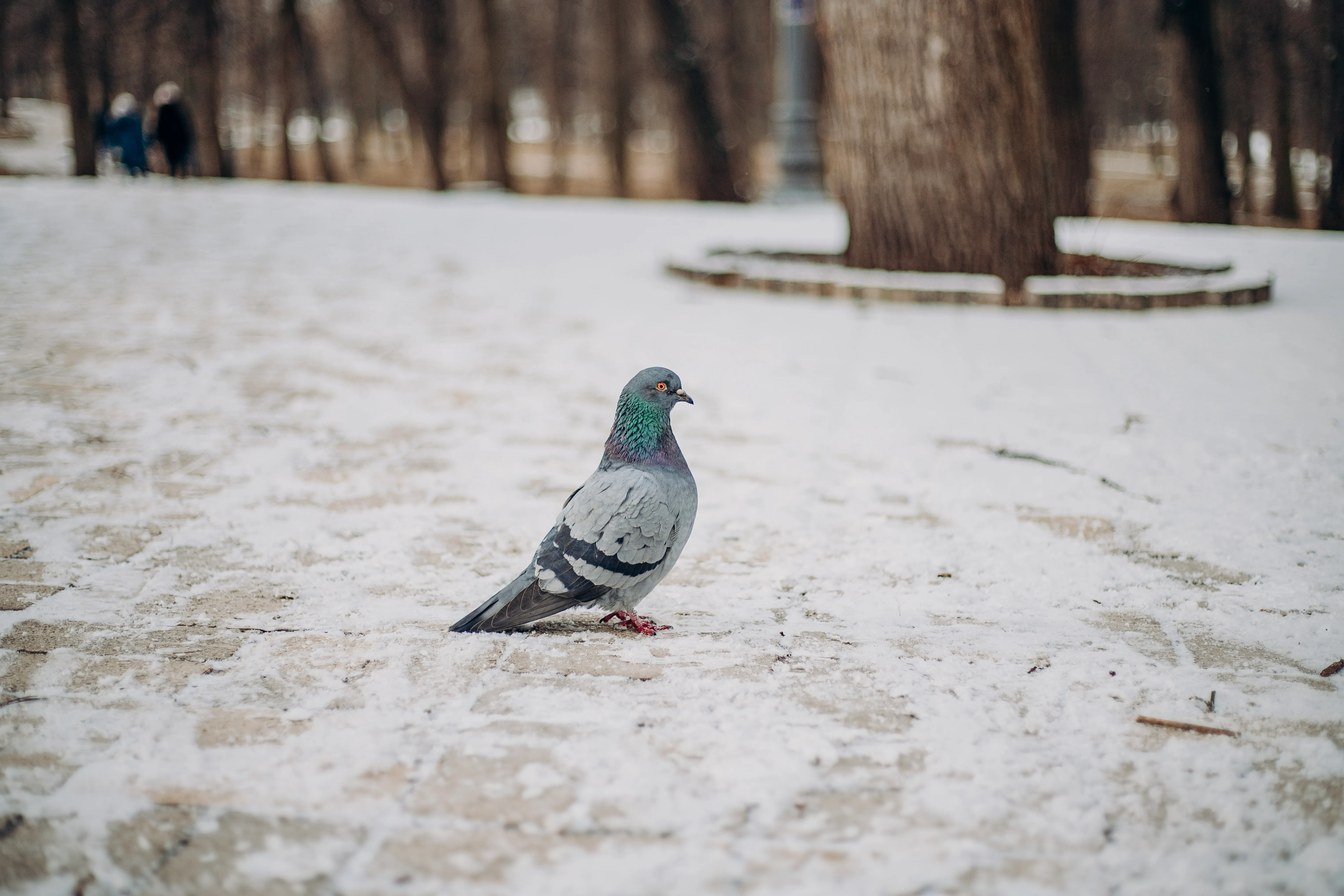Погода в Украине Погода в Украине