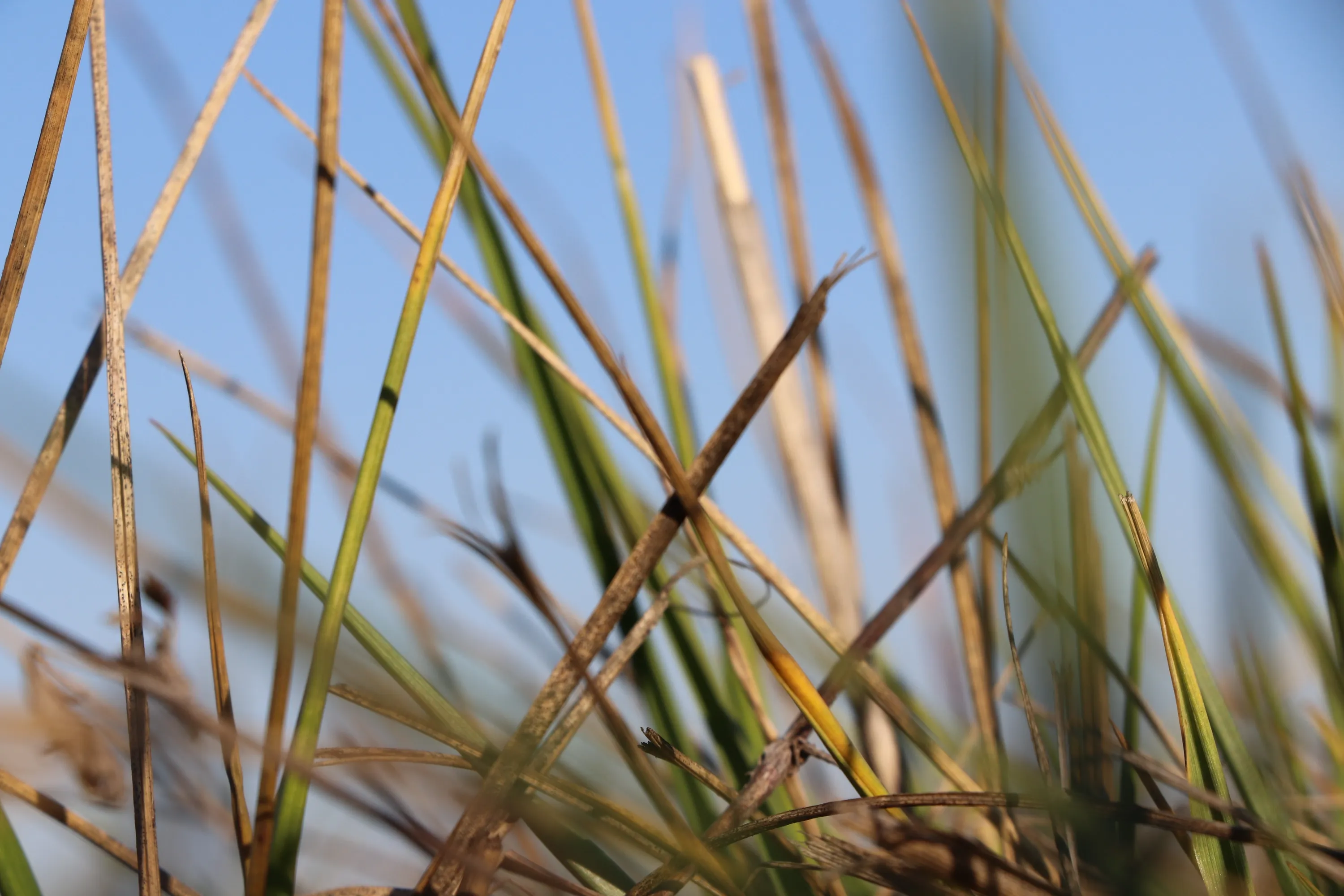 Погода на весну