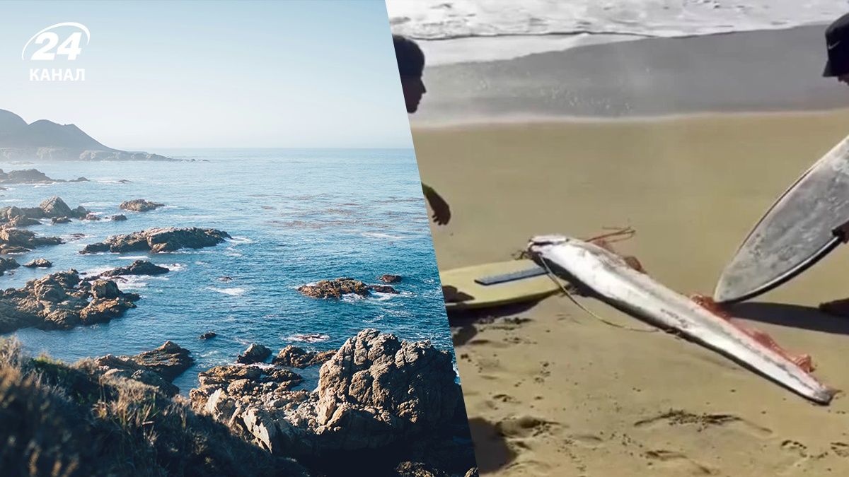 На мексиканському пляжі побачили рибу Судного дня - фото На мексиканському пляжі побачили рибу Судного дня - фото