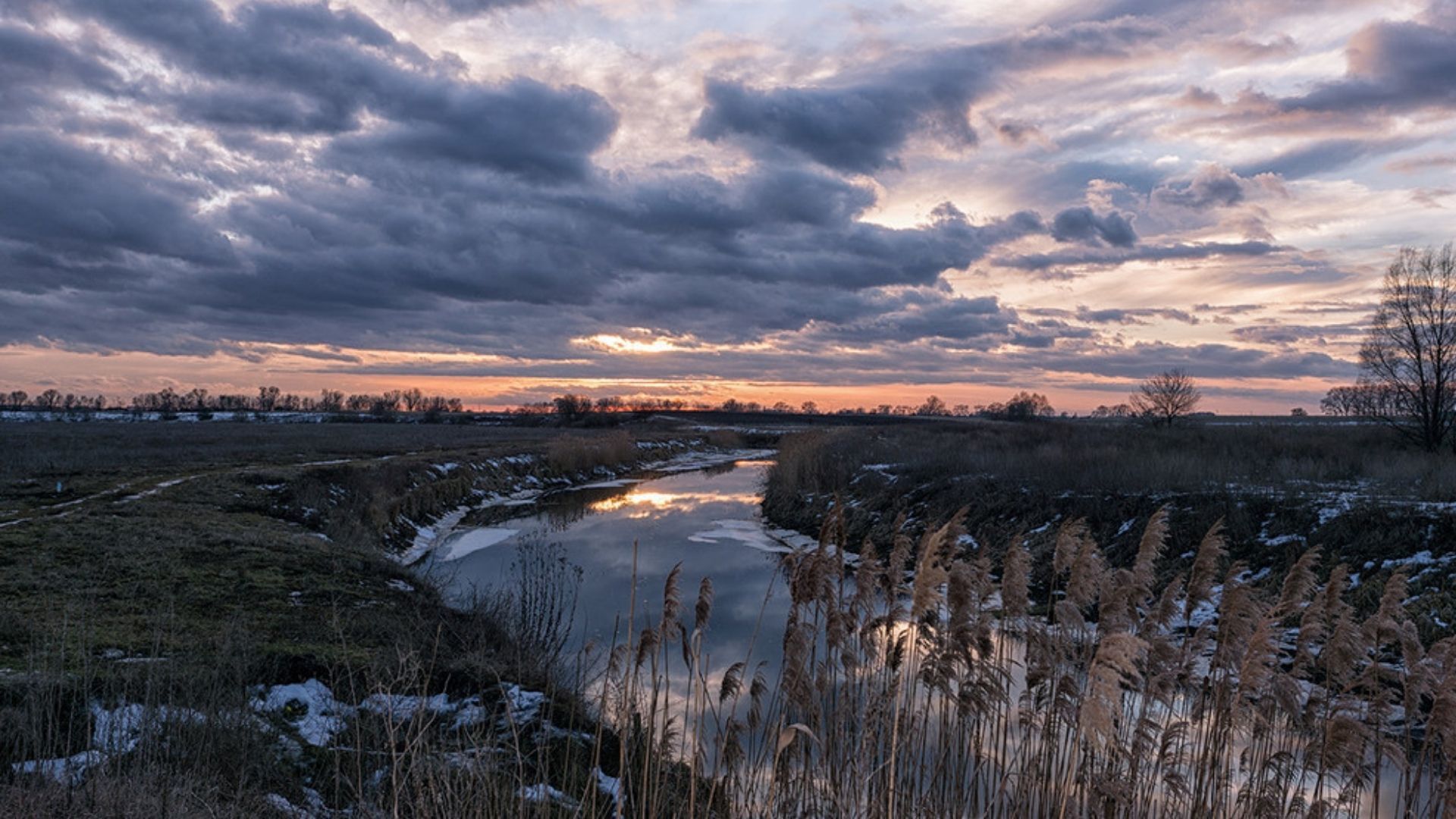 Погода в Україні 28 січня 2025 року Погода в Україні 28 січня 2025 року
