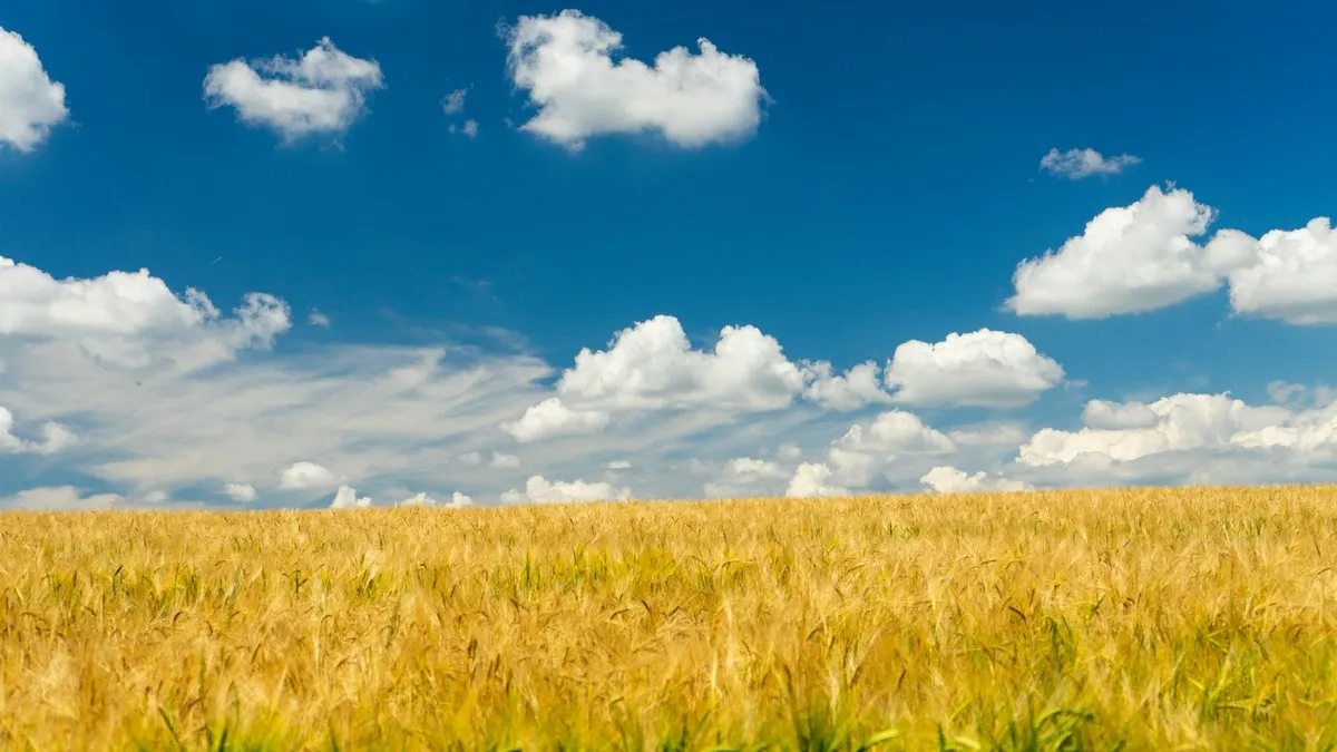 Блакитне небо Блакитне небо