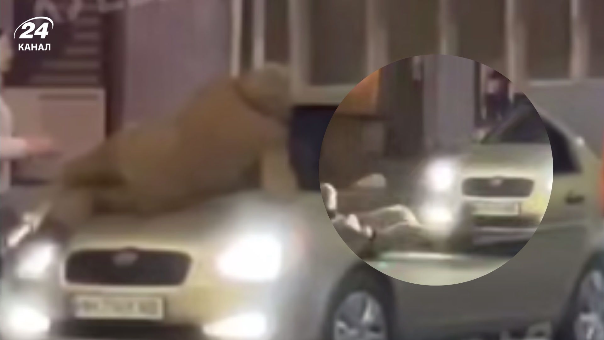 В Одесі легковик збив військового з протезом ноги: у Патрульній поліції прокоментували - 24 Канал В Одесі легковик збив військового з протезом ноги: у Патрульній поліції прокоментували - 24 Канал