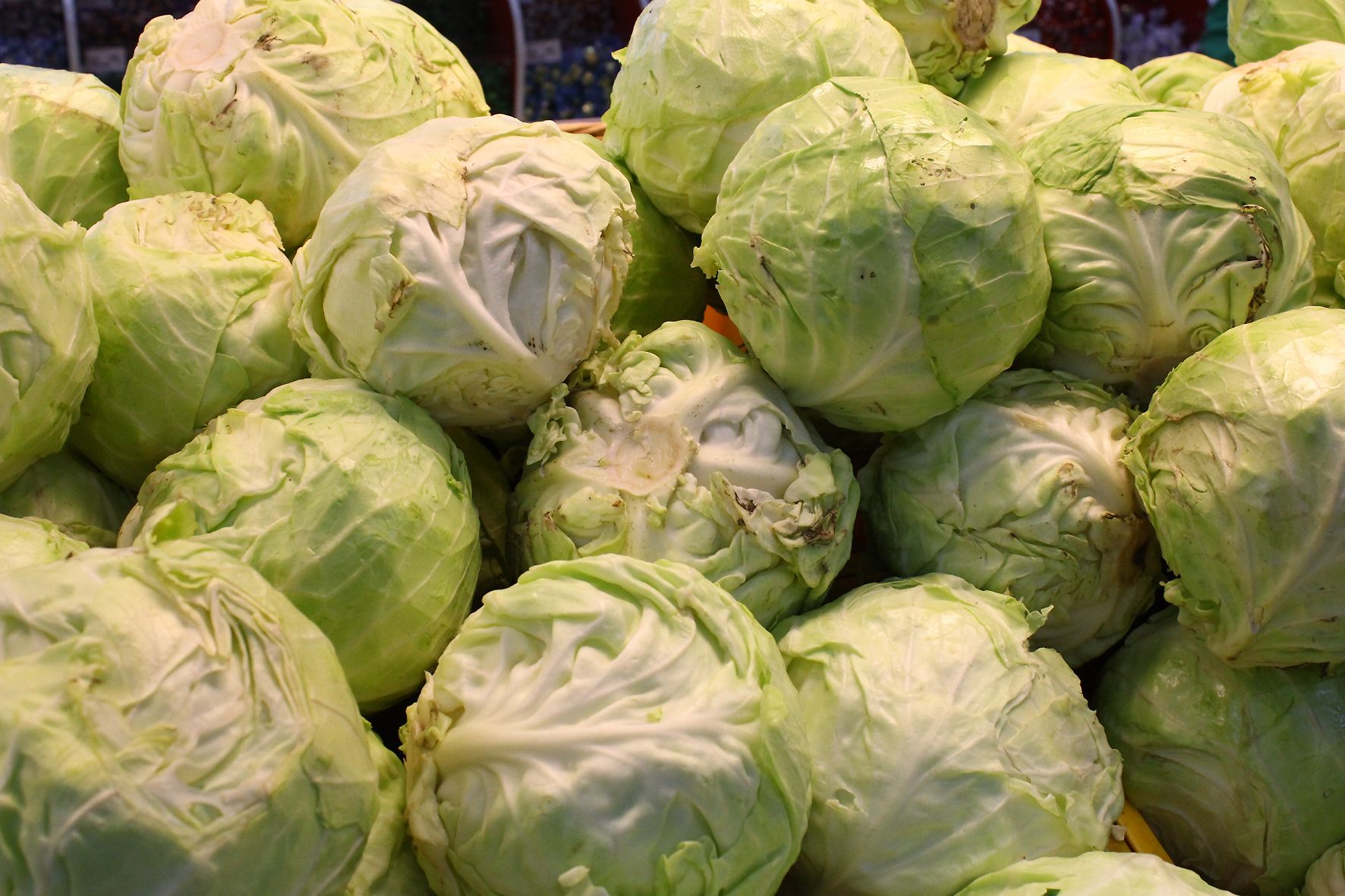 Почему так сильно подорожала капуста Почему так сильно подорожала капуста