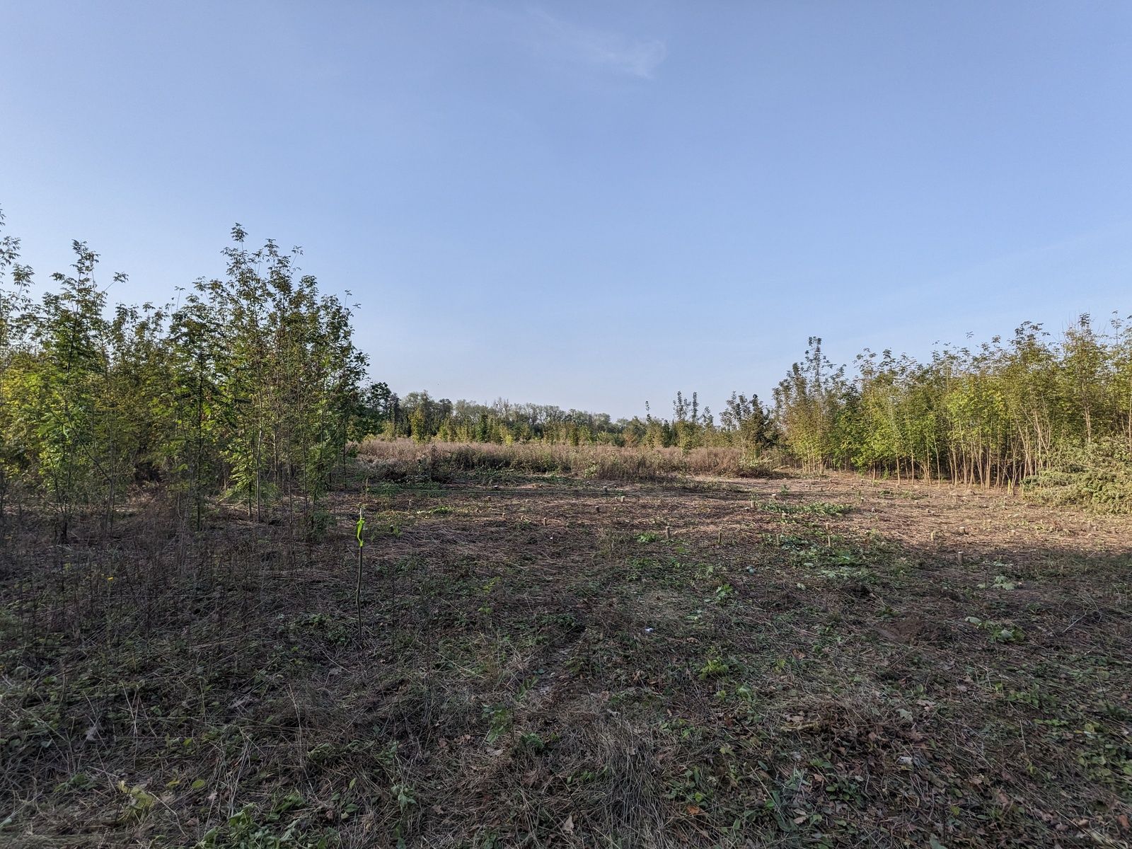 Что если пай не оформлен до 1 января 2025 года Что если пай не оформлен до 1 января 2025 года