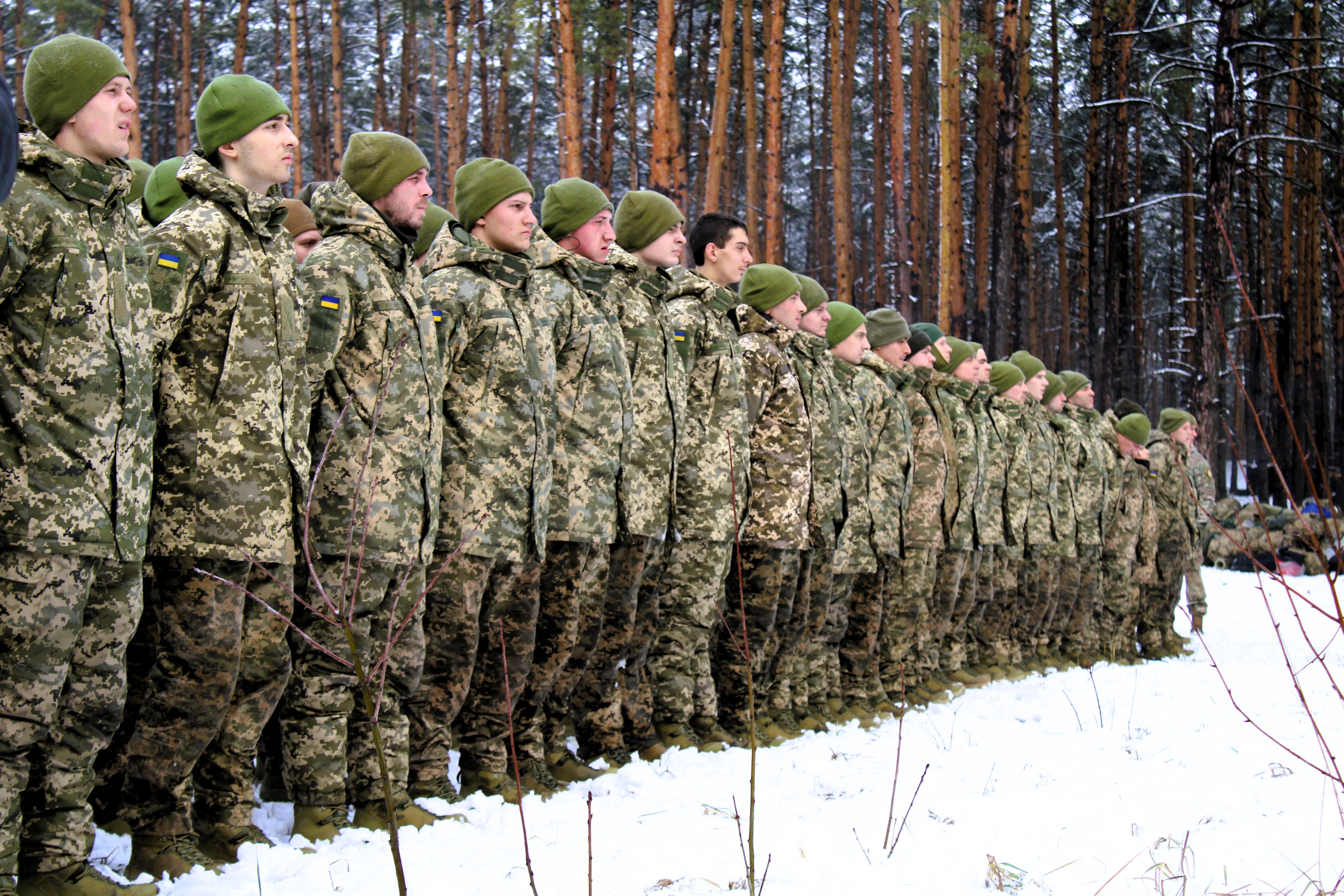 Новобранці Новобранці