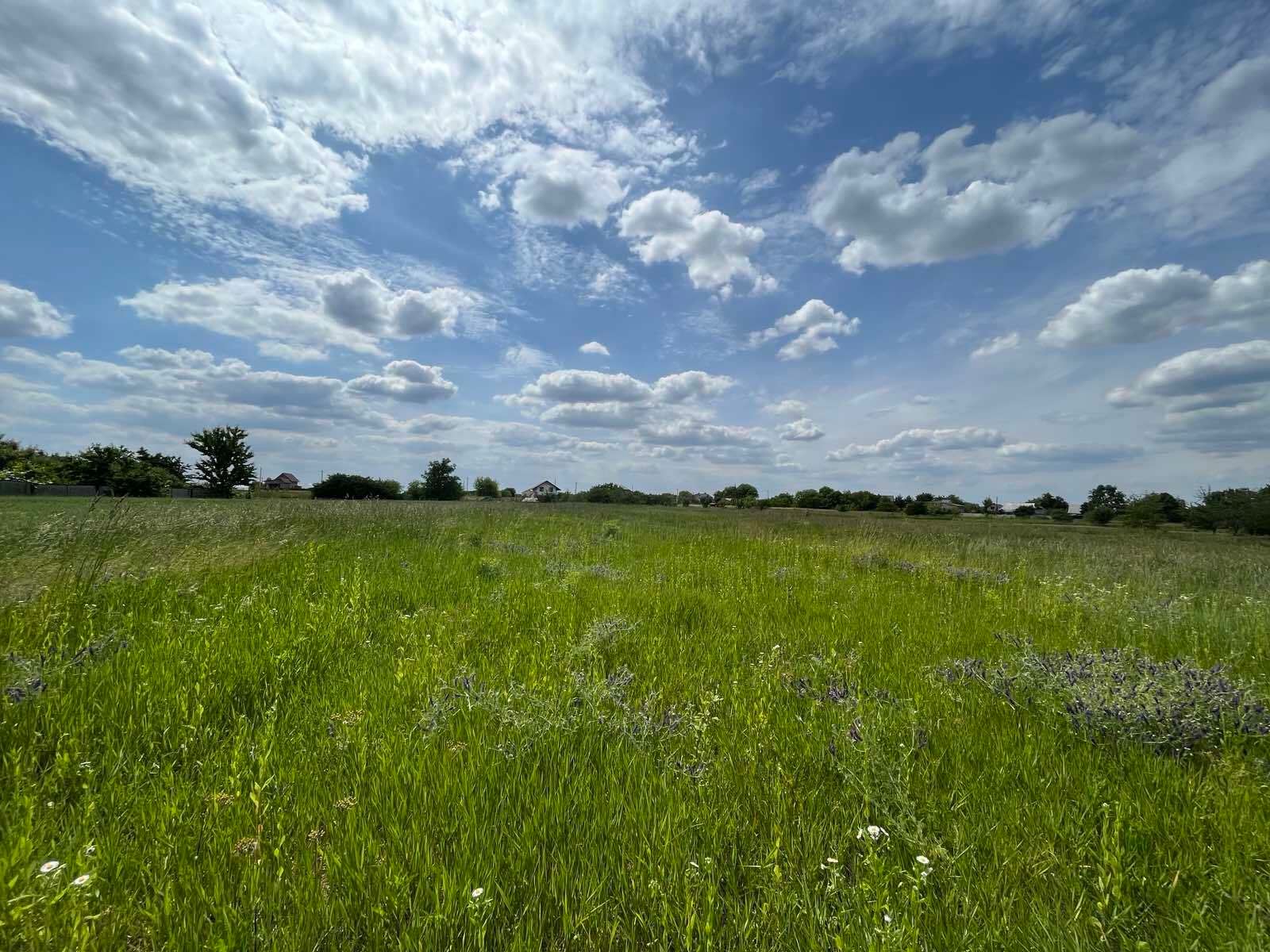 Як виплачується орендна плата з паю померлого власника Як виплачується орендна плата з паю померлого власника