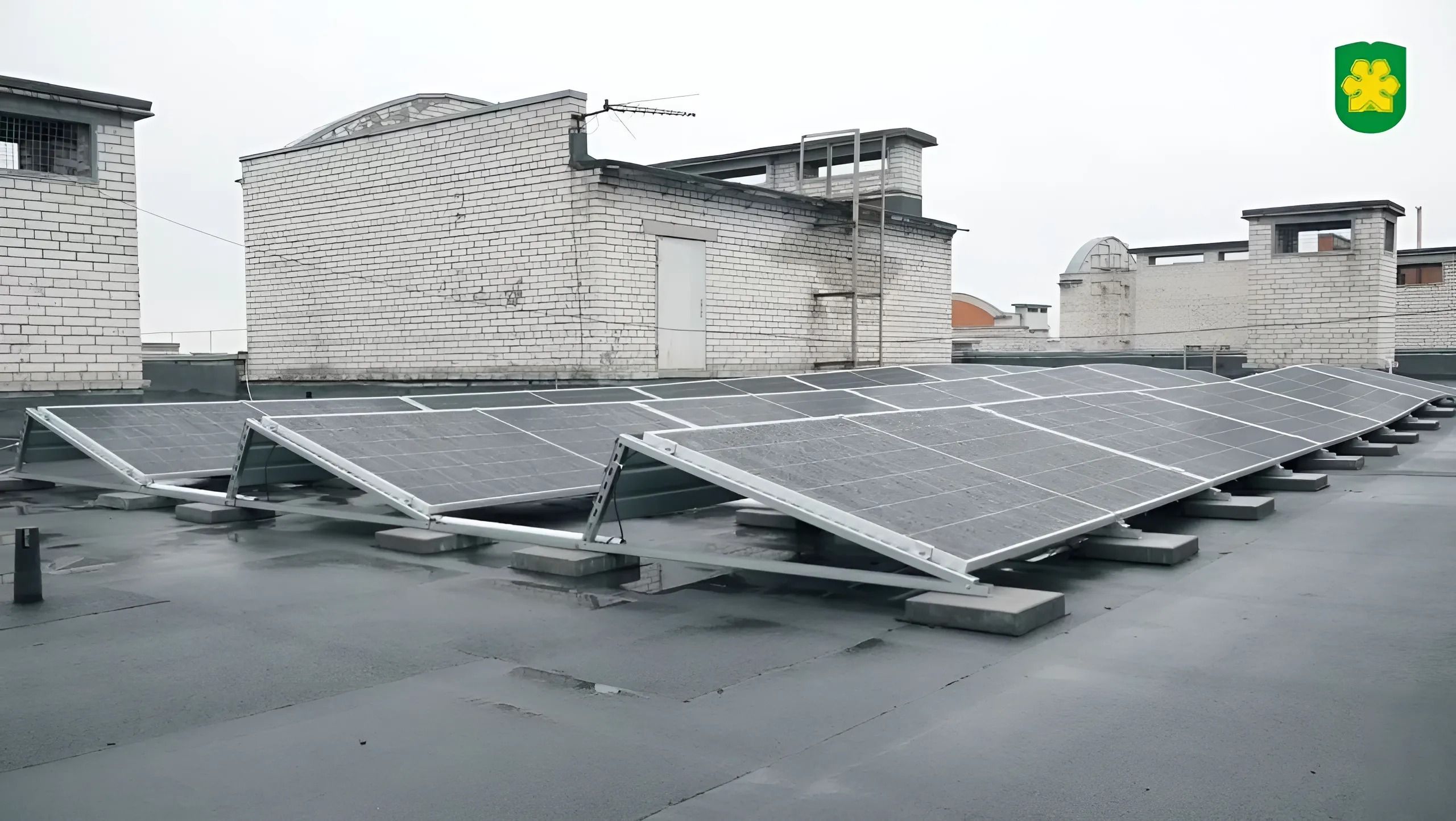 буча - Тренды буча - Тренды