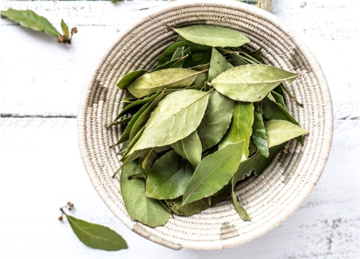 В какие блюда нельзя класть лавровый лист В какие блюда нельзя класть лавровый лист