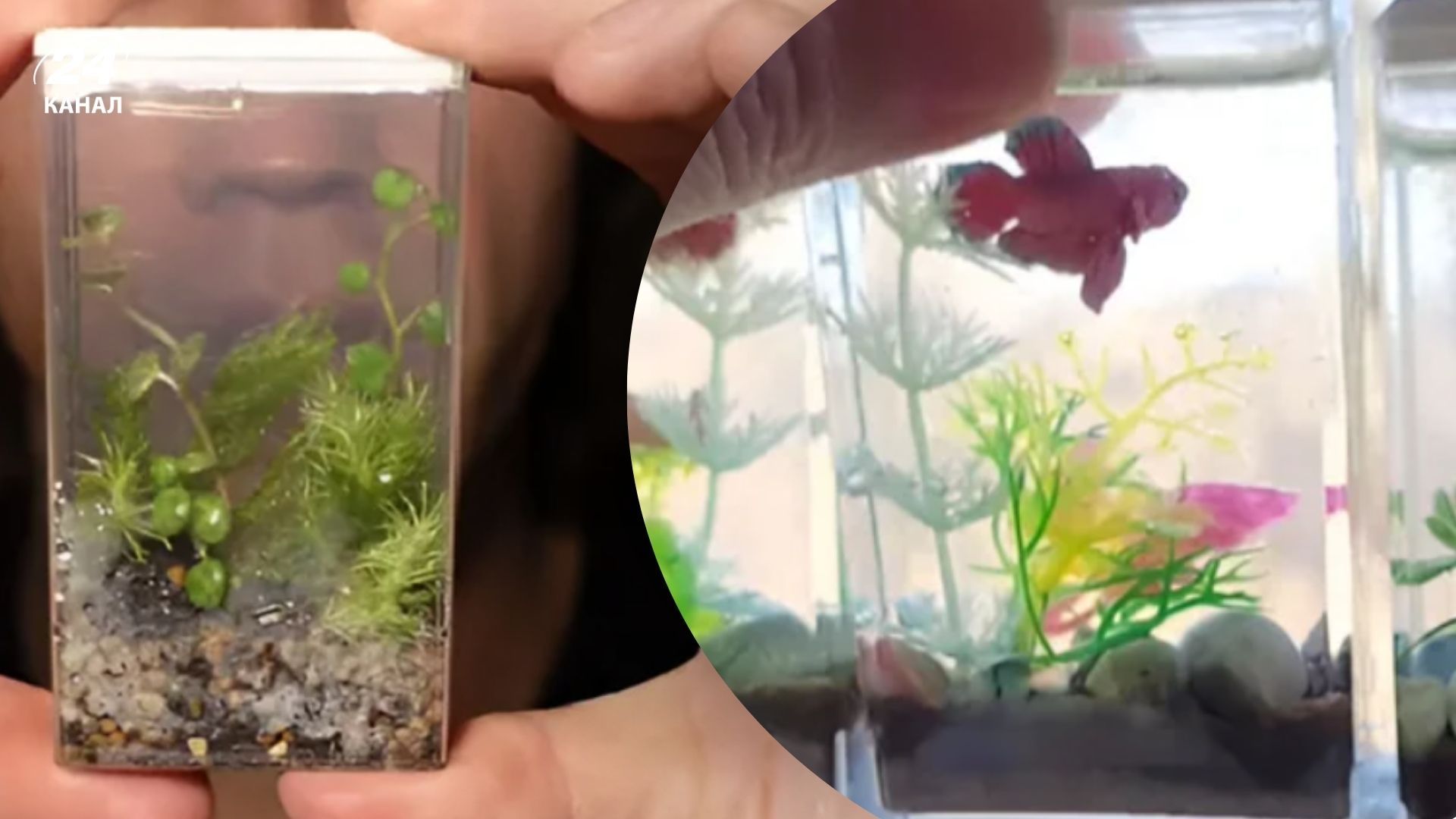 Порожні коробочки з-під Tic Tac стануть у пригоді вдома Порожні коробочки з-під Tic Tac стануть у пригоді вдома