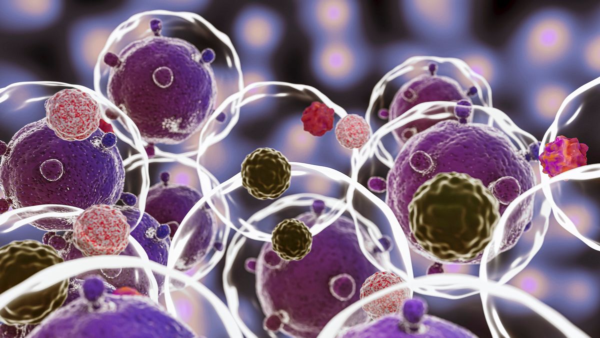 Астероїд Бенну містить усі п'ять основних нуклеотидів, основ ДНК Астероїд Бенну містить усі п'ять основних нуклеотидів, основ ДНК