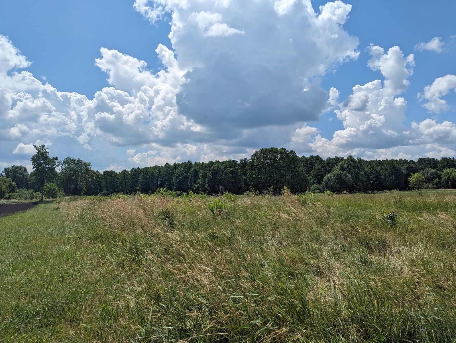 Сколько земли можно приватизировать в Украине Сколько земли можно приватизировать в Украине