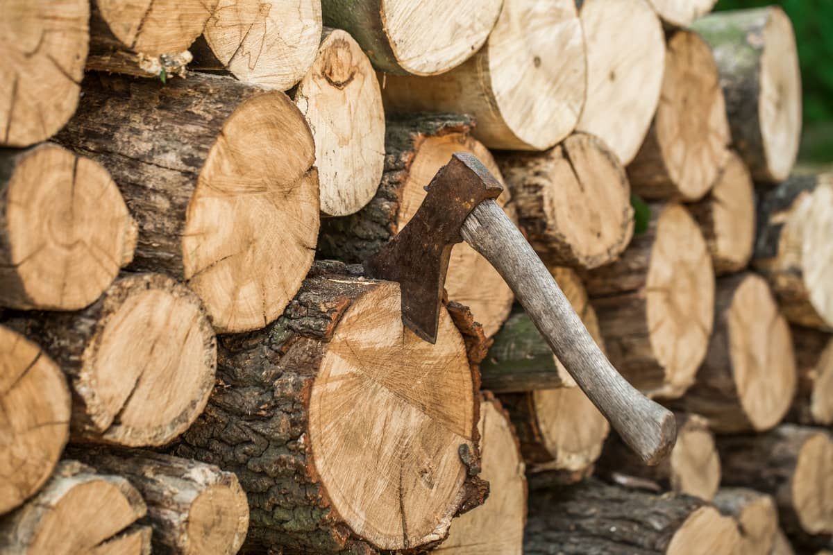 Можно ли пилить деревья во дворе Можно ли пилить деревья во дворе