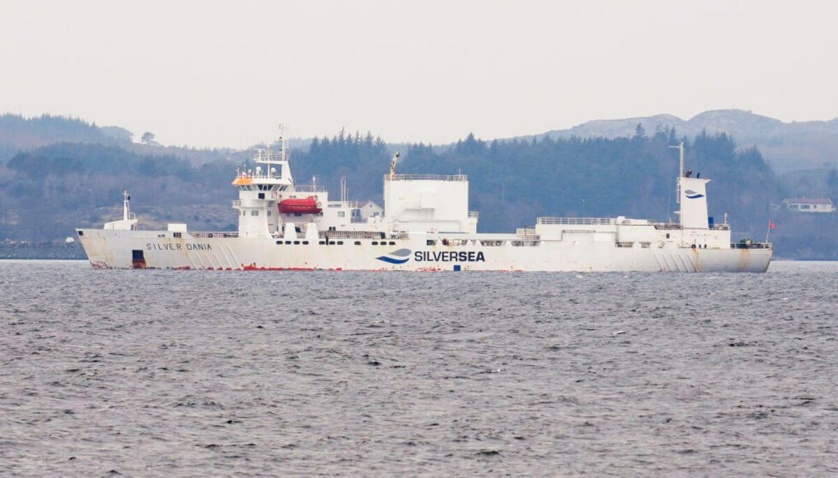 Пошкодження кабелів у Балтійському морі: в Норвегії затримали судно з російським екіпажем - 24 Канал Пошкодження кабелів у Балтійському морі: в Норвегії затримали судно з російським екіпажем - 24 Канал