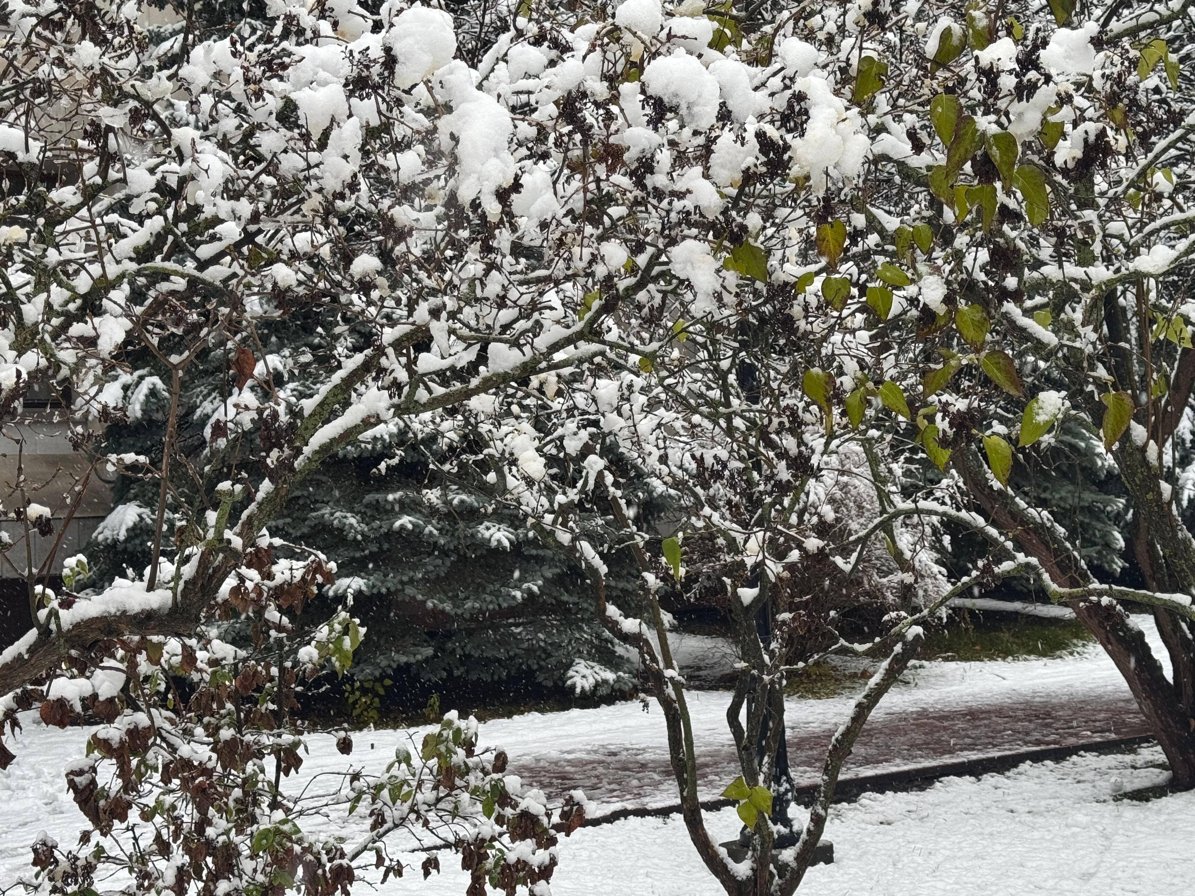 Где и когда будут осадки Где и когда будут осадки