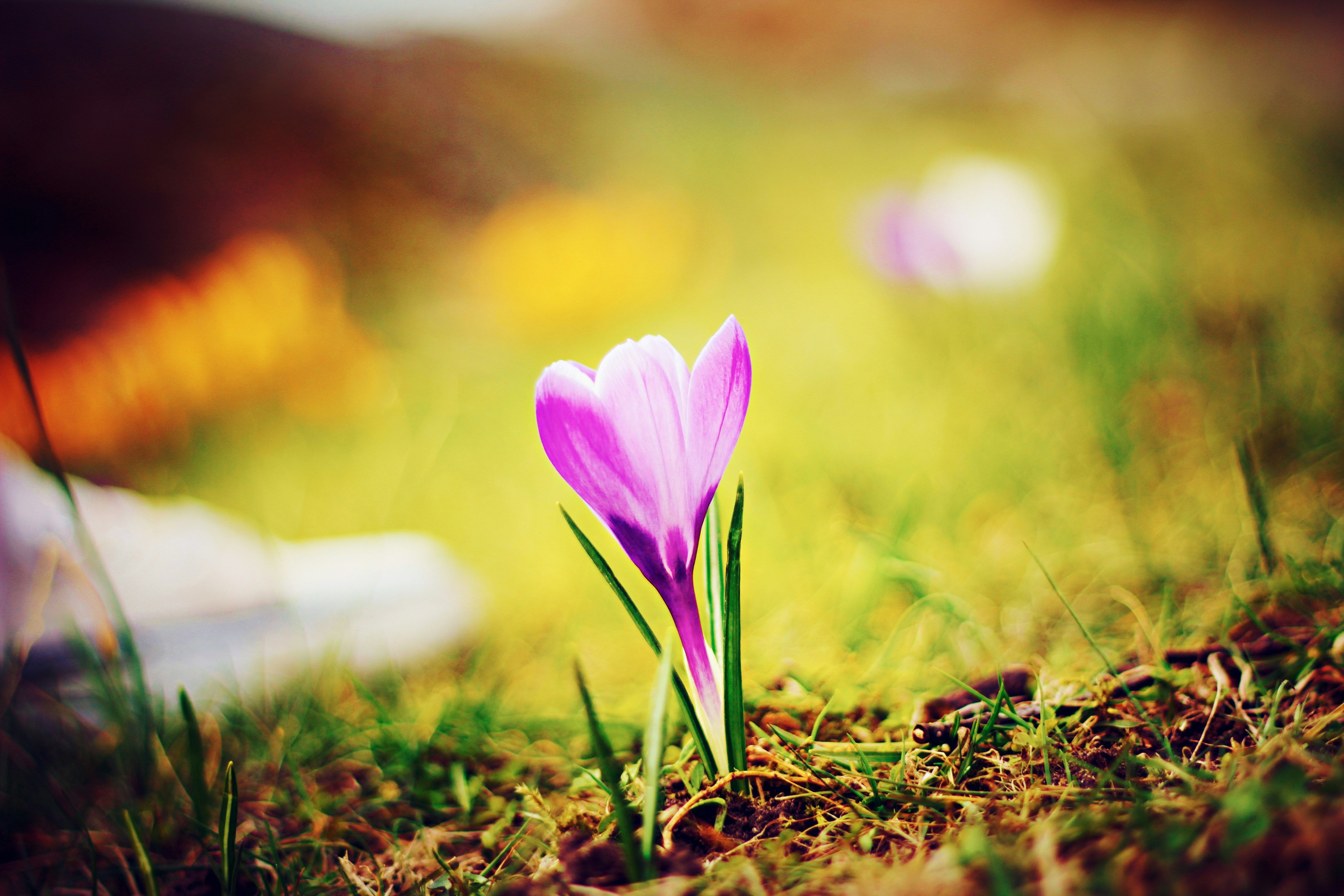 Погода на весну и лето