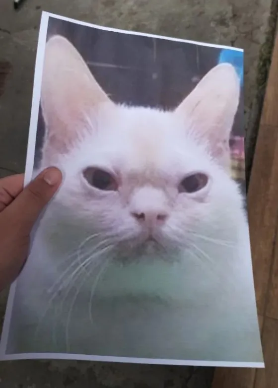 Вранці на молодого чоловіка чекав сюрприз Вранці на молодого чоловіка чекав сюрприз