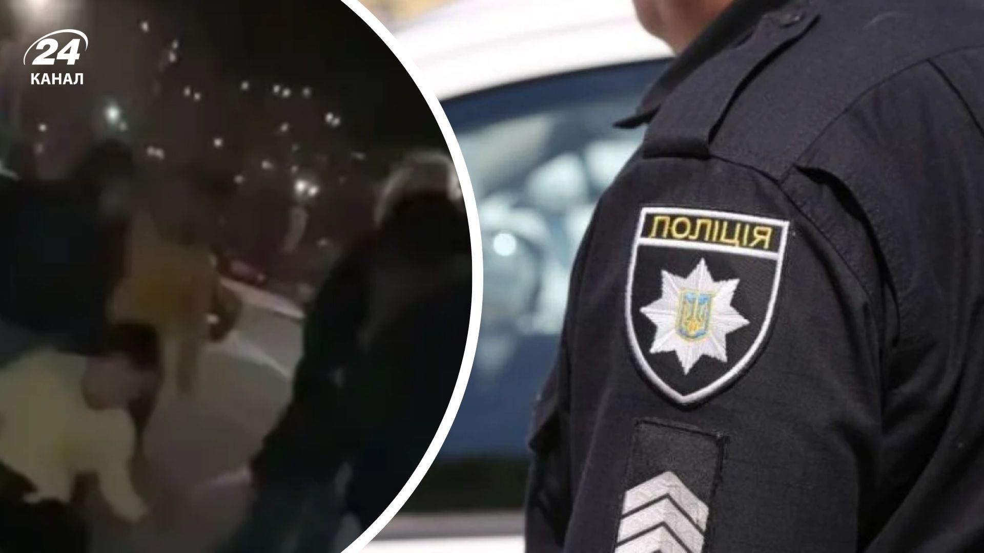 Підлітки побили дівчину в Києві Підлітки побили дівчину в Києві