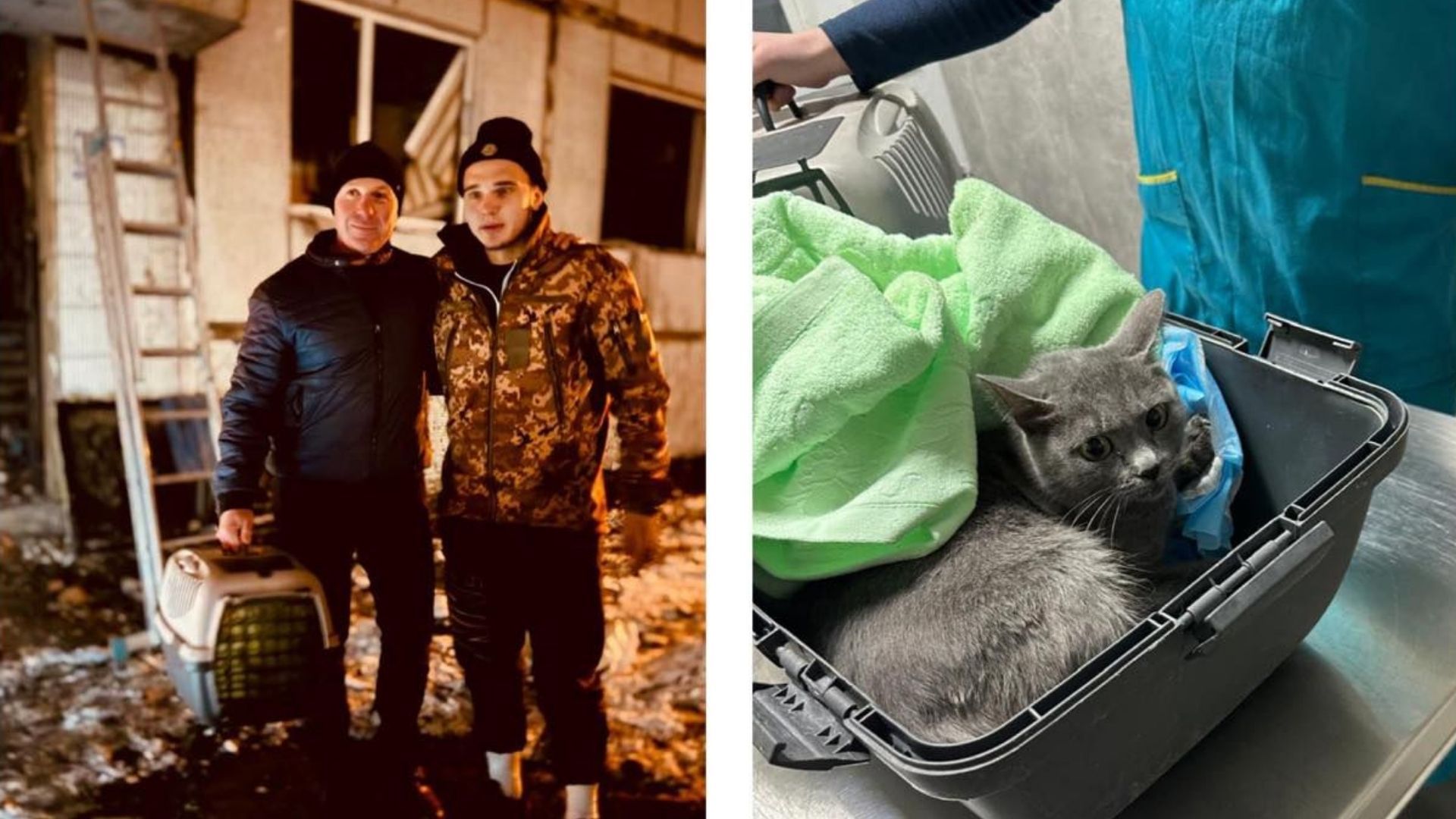 Волонтери у Полтаві врятували кота з-під завалів - 24 Канал Волонтери у Полтаві врятували кота з-під завалів - 24 Канал