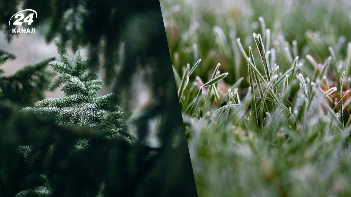 Місцями невеликий сніг, вночі може бути мороз: прогноз погоди на 6 лютого - 24 Канал Місцями невеликий сніг, вночі може бути мороз: прогноз погоди на 6 лютого - 24 Канал