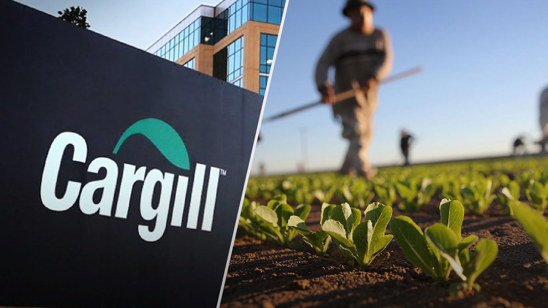 Названо найбільшого платника податків в Україні серед агрокомпаній - Бізнес Названо найбільшого платника податків в Україні серед агрокомпаній - Бізнес