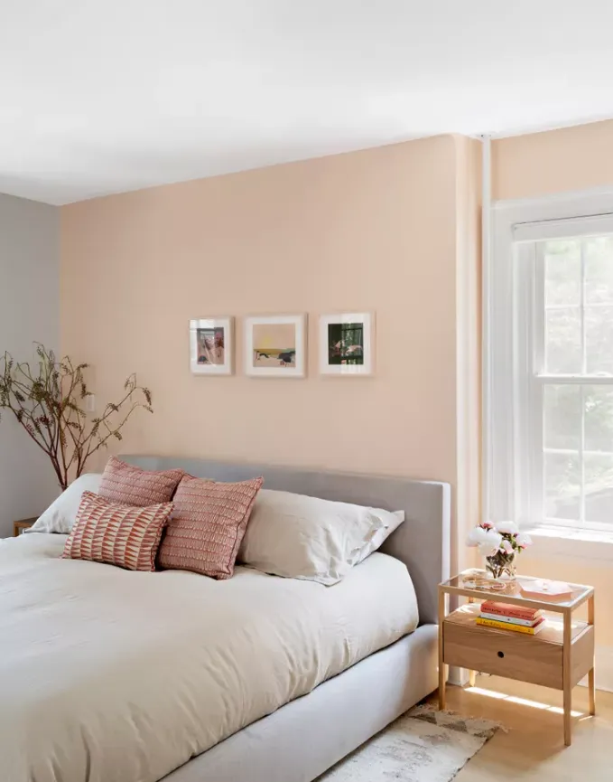 рожевий рожевий