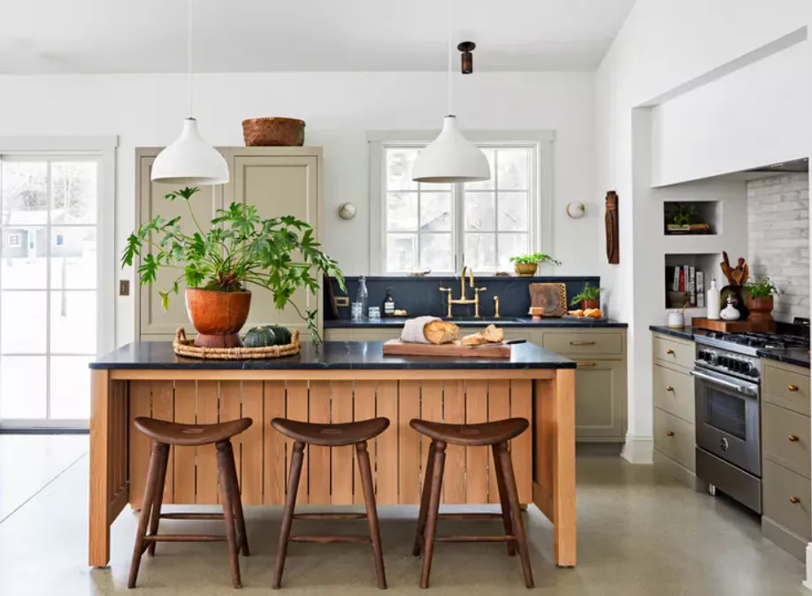 шавлевий колір шавлевий колір