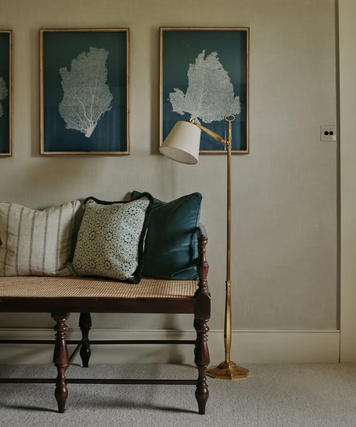 красное дерево красное дерево