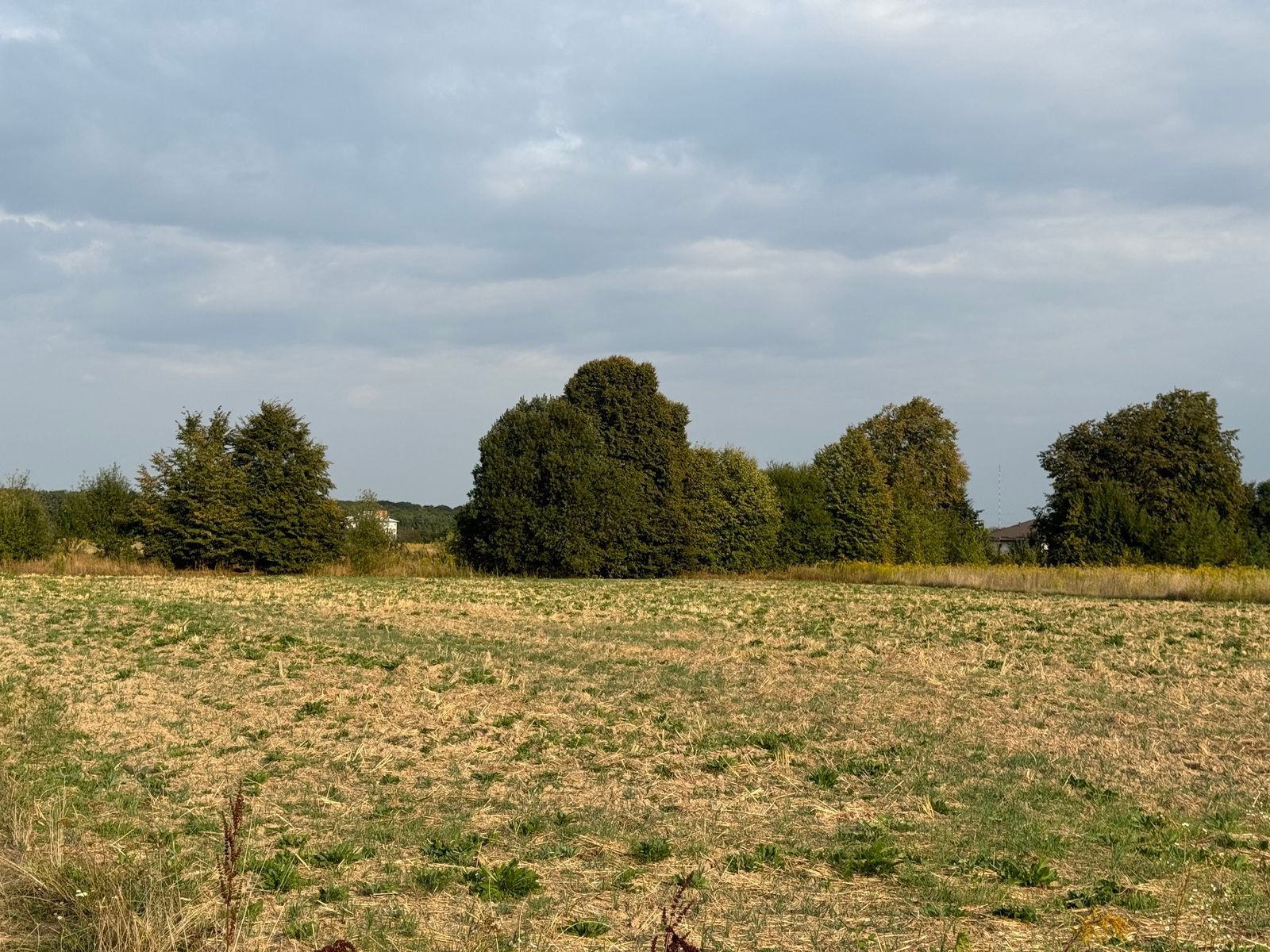 Що буде із землею, яку не переоформили Що буде із землею, яку не переоформили