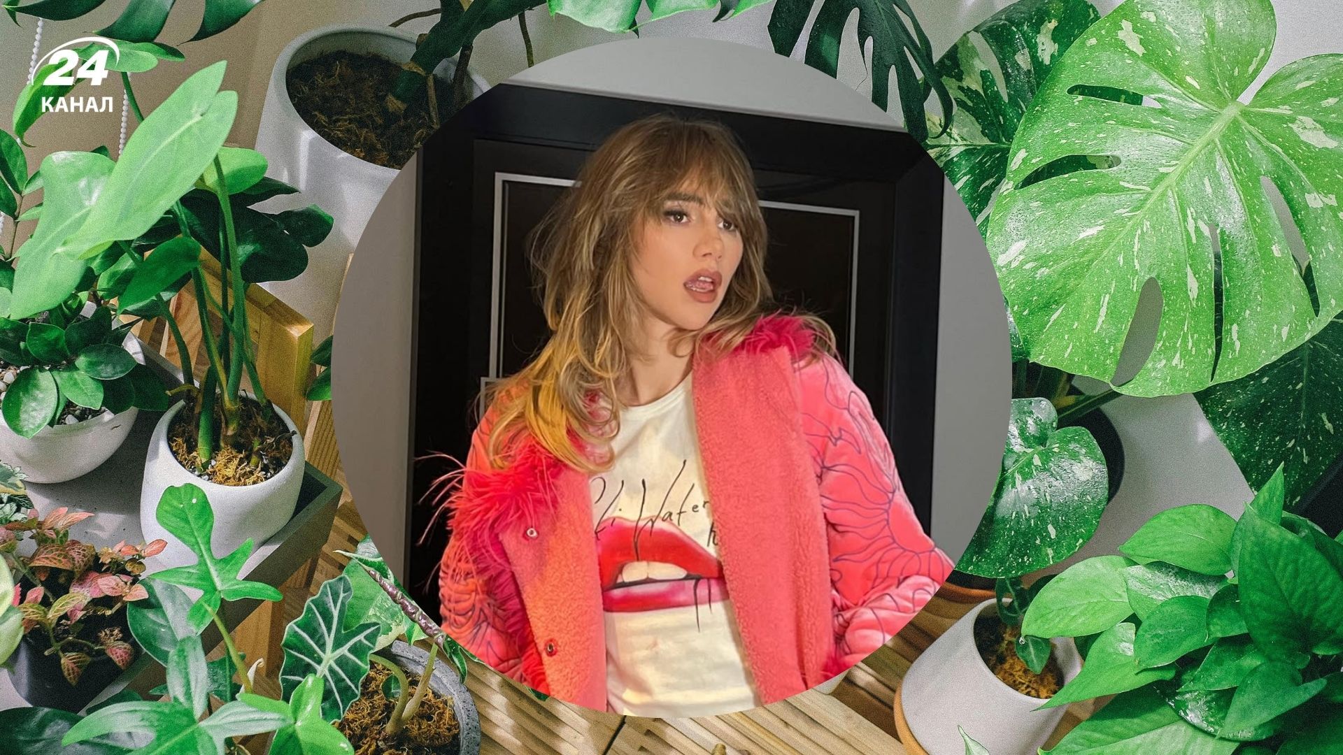 Сьюкі Вотергаус обожнює бонсай - як доглядати за цією рослиною Сьюкі Вотергаус обожнює бонсай - як доглядати за цією рослиною