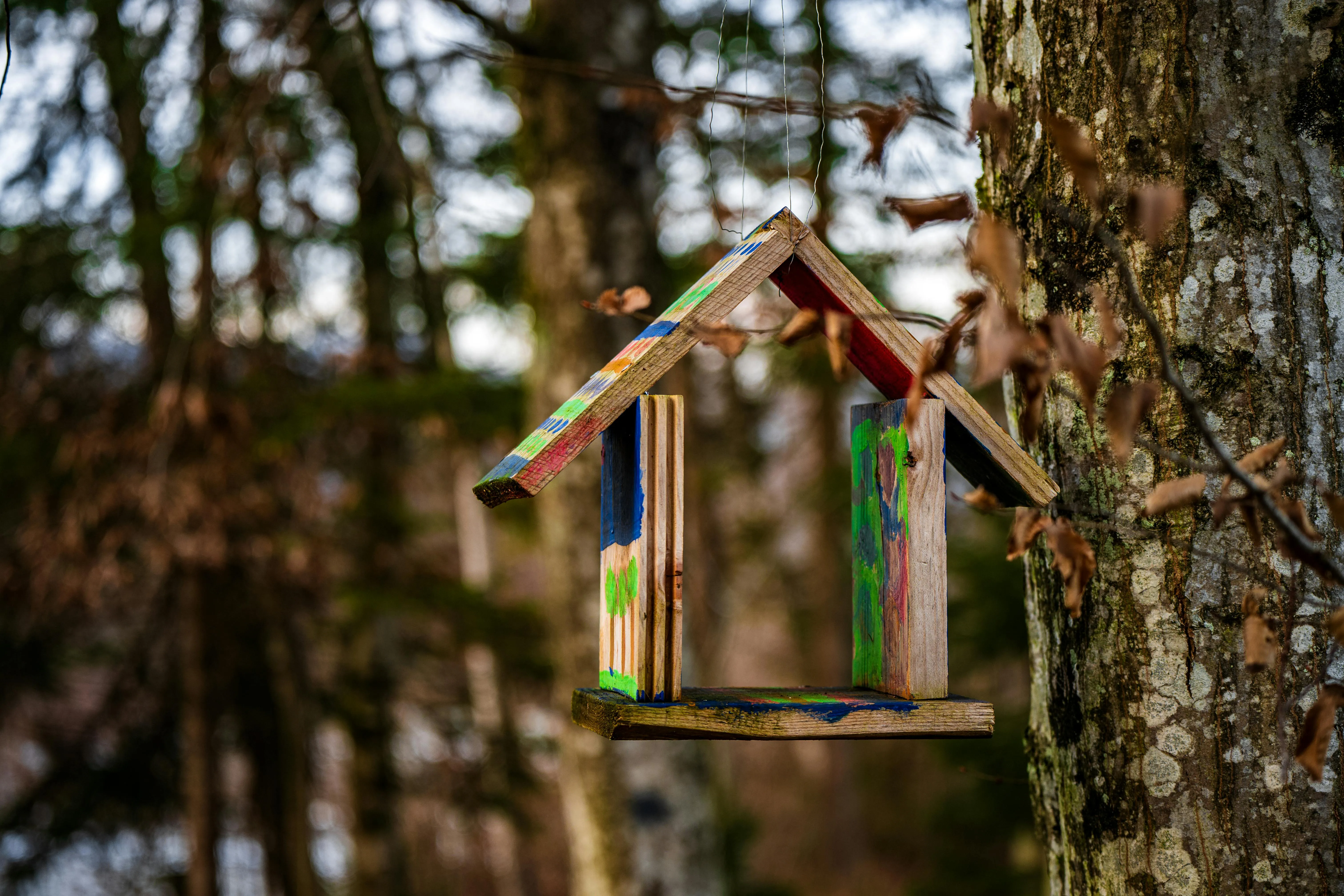 Кормушка Кормушка