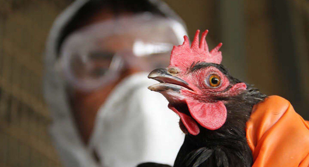 Карантин на Роменщині Карантин на Роменщині