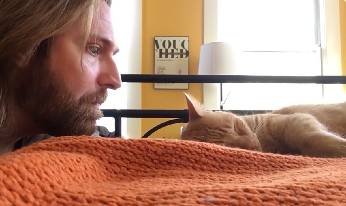 Чоловік помстився коту за те, що він будить його зранку Чоловік помстився коту за те, що він будить його зранку