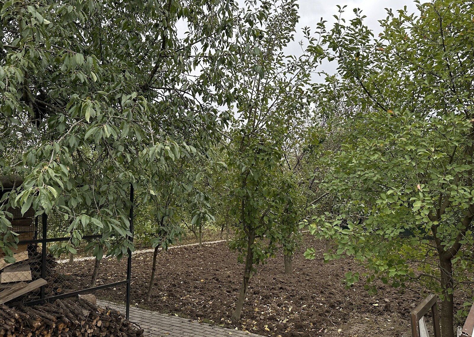 Сколько метров должно быть до соседского забора Сколько метров должно быть до соседского забора