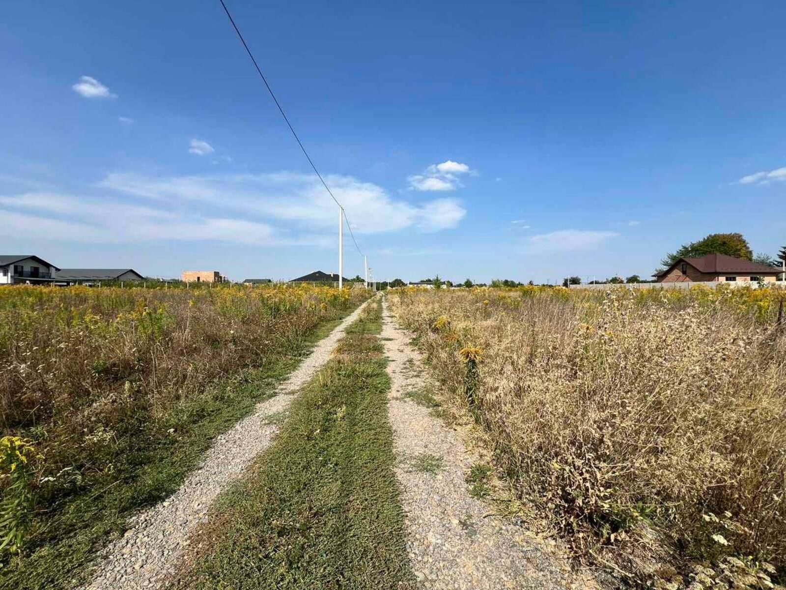 Кто может приватизировать землю во время войны Кто может приватизировать землю во время войны