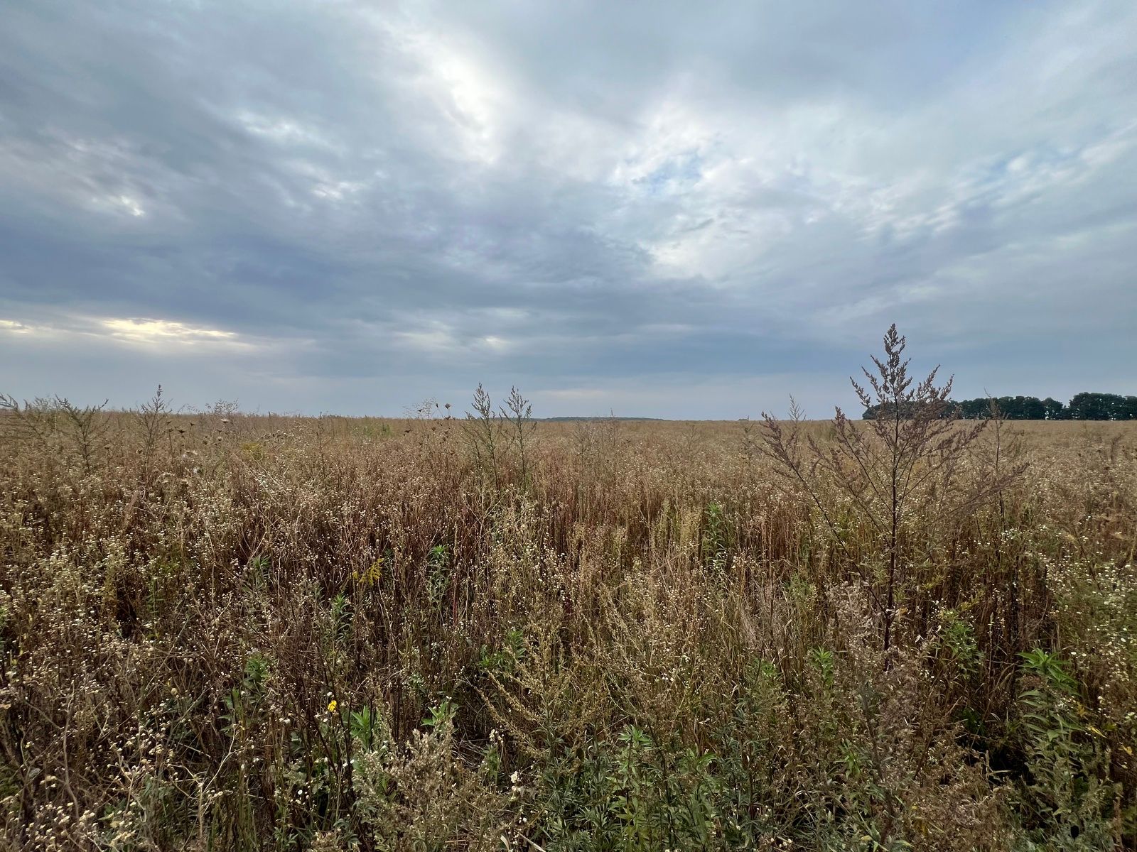 Сколько стоит приватизация земли Сколько стоит приватизация земли