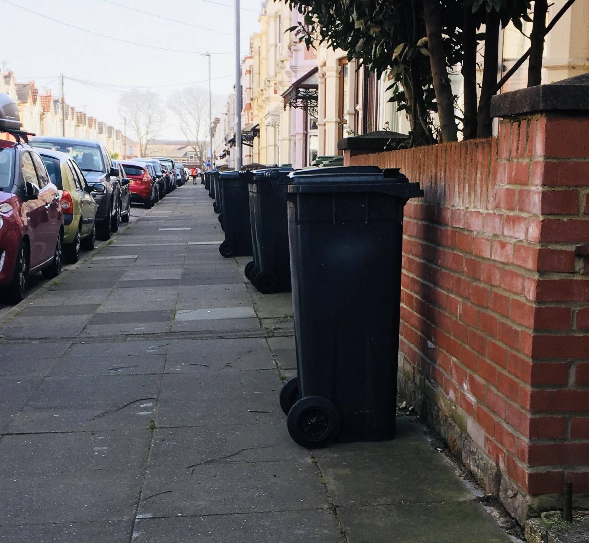 Мусорные баки возле домов в Британии - почему их ставят напоказ - Недвижимость Мусорные баки возле домов в Британии - почему их ставят напоказ - Недвижимость