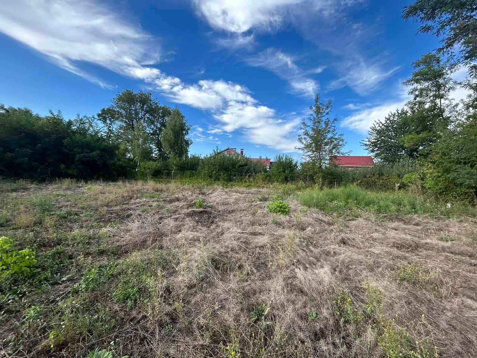 Что если сосед захватил вашу землю Что если сосед захватил вашу землю