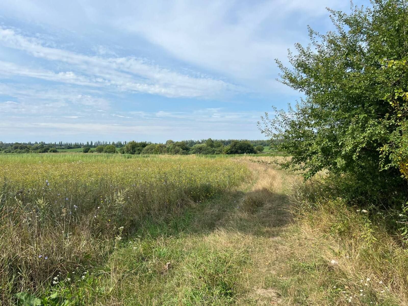 Что если не оформил землю до 1 января