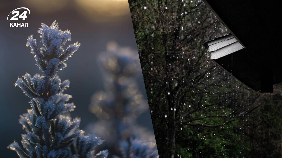 Синоптики обещают потепление, в части областей будет снег и дождь: прогноз погоды на 14 февраля - 24 Канал Синоптики обещают потепление, в части областей будет снег и дождь: прогноз погоды на 14 февраля - 24 Канал