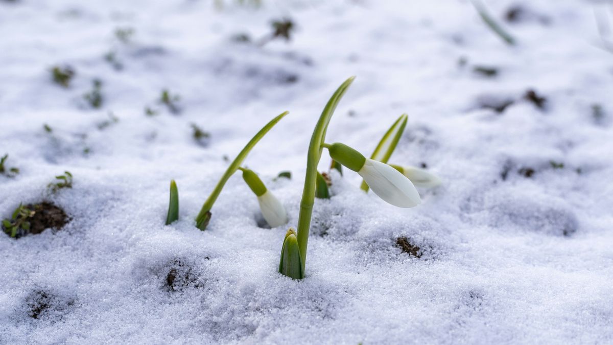 Погода на початок березня Погода на початок березня