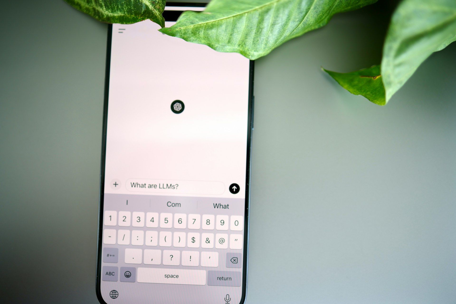 Ілюстративне фото Ілюстративне фото