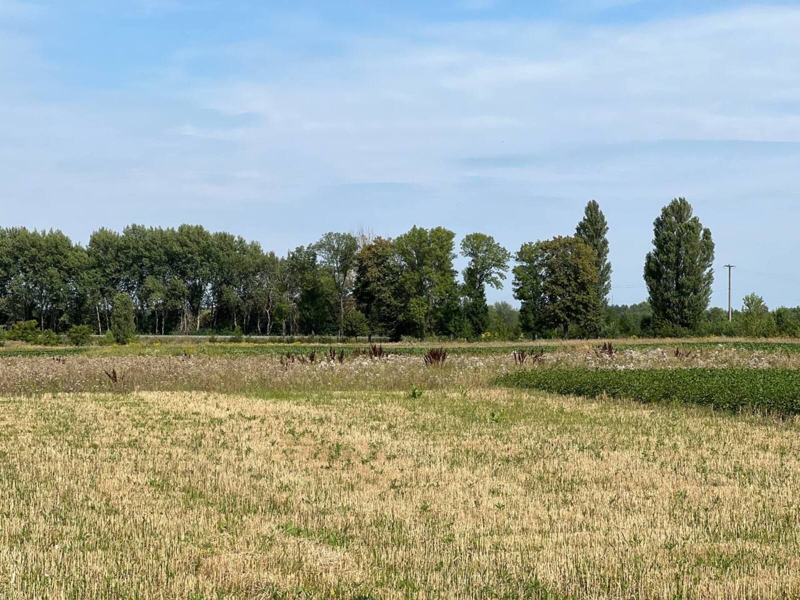 Как происходит процедура дарения земли Как происходит процедура дарения земли