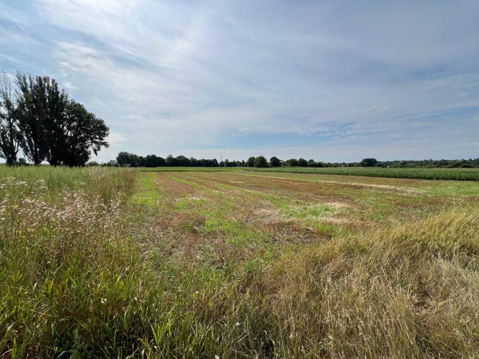 Кто должен платить земельный налог Кто должен платить земельный налог