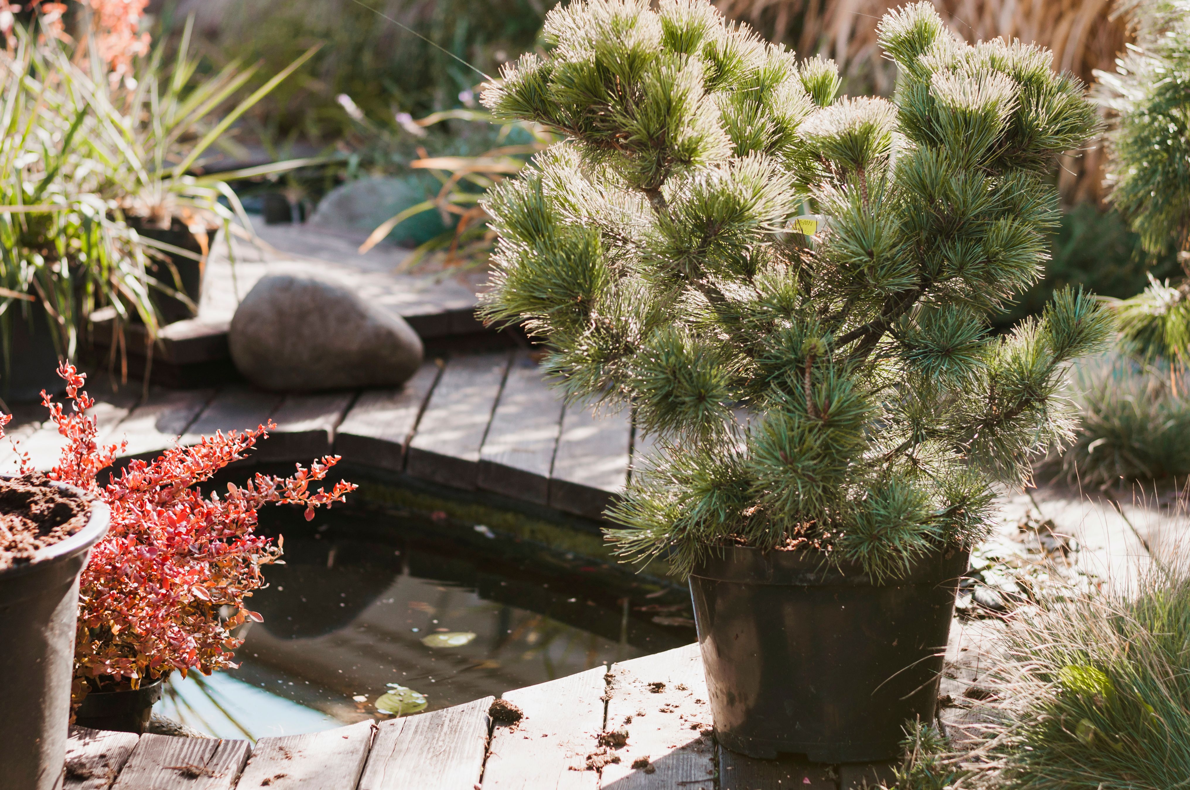Деякі оновлення ділянки підвищують вартість нерухомості Деякі оновлення ділянки підвищують вартість нерухомості