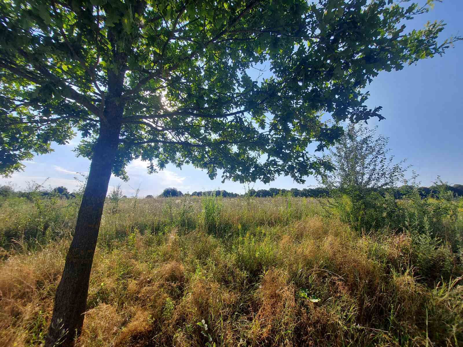 Кто может получить 2 гектара Кто может получить 2 гектара